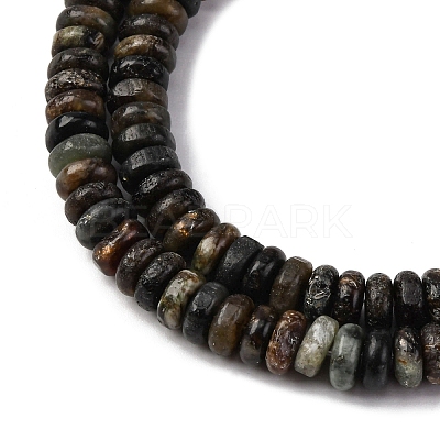 Natural Biotite Jade Beads Strands G-L624-H09-6x2mm-1
