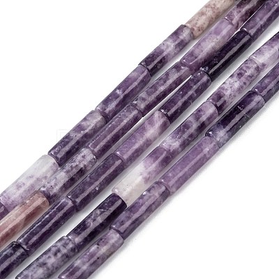 Natural Lepidolite/Purple Mica Stone Beads Strands G-F247-45-1
