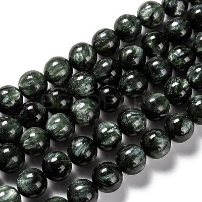 Natural Seraphinite Beads Strands G-E557-22C-1
