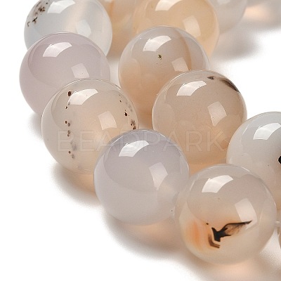 Natural Agate Beads Strands G-G175-A01-01-1