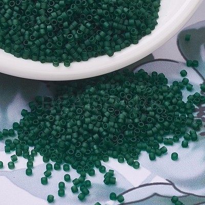 MIYUKI Delica Beads X-SEED-J020-DB0767-1