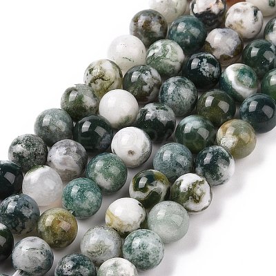Natural Tree Agate Beads Strands G-K194-10mm-02-1