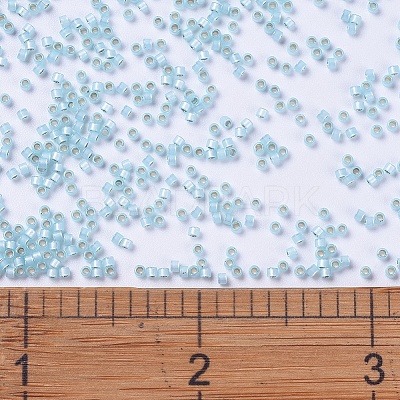 MIYUKI Delica Beads X-SEED-J020-DB0628-1