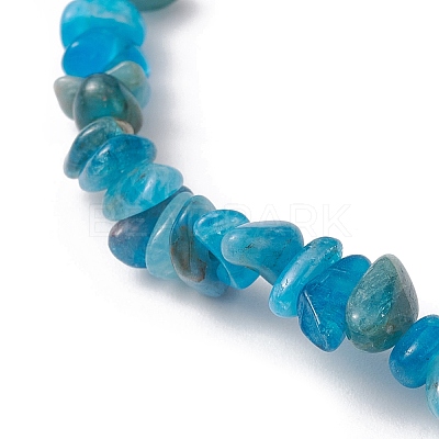 Natural Apatite Chips Beaded Stretch Bracelets for Women BJEW-JB10046-10-1