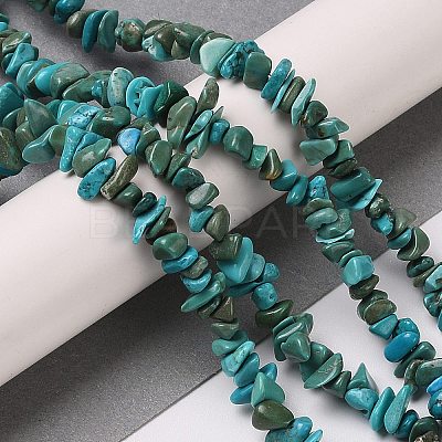 Natural Turquoise Chip Beads Strands X-G-D093-A01-1