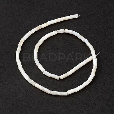 Natural Freshwater Shell Dyed Beads Strands SHEL-M018-11-12-1
