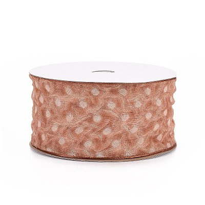 20 Yards Polyester Mesh Ribbon SRIB-P021-E03-1