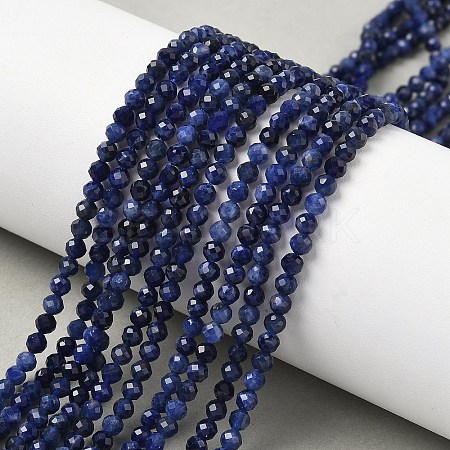 Natural Sodalite Beads Strands X-G-L622-C04-3mm-1