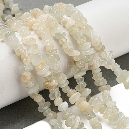 Natural White Moonstone Beads Strands G-P332-01-1