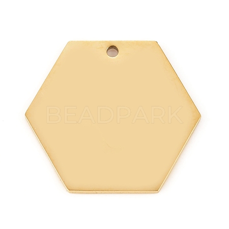 304 Stainless Steel Pendants STAS-L238-087A-G-1