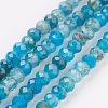 Natural Apatite Beads Strands G-F568-097-B-1