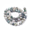 Natural Tree Agate Beads Strands G-T106-038-4