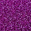 MIYUKI Delica Beads X-SEED-J020-DB1340-3