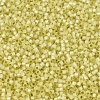 MIYUKI Delica Beads X-SEED-J020-DB0623-3