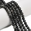 Natural Larvikite Beads Strands G-C280-B06-6mm-1