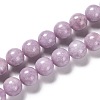 Natural Lepidolite Beads Strands G-H247-11C-1