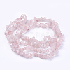 Natural Rose Quartz Stone Bead Strands X-G-R192-03-2