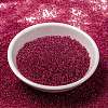 MIYUKI Round Rocailles Beads X-SEED-G009-RR0363-2