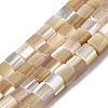 Natural Trochid Shell/Trochus Shell Beads Strands SSHEL-S266-009-1