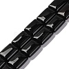 Natural Black Onyx(Dyed & Heated) Beads Strands G-T047-B29-01-1