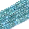 Natural Apatite Beads Strands G-O172-04B-1