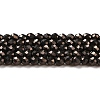 Electroplate Glass Beads Strands GLAA-H021-01A-FP06-2