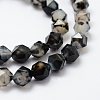 Natural Agate Beads Strands G-K184-04C-4