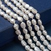 Natural Cultured Freshwater Pearl Beads Strands X-PEAR-S012-77A-5