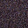 TOHO Round Seed Beads SEED-TR08-0166BF-2