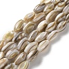 Natural Freshwater Shell Beads Strands SSHEL-B002-13-1