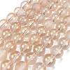 Frosted Transparent Glass Bead Strands GLAA-P065-8mm-05-2