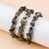 Unisex Chip Natural Labradorite Beaded Stretch Bracelets BJEW-S143-19-4