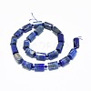 Natural Lapis Lazuli Beads Strands G-F632-07A-1