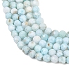 Natural Larimar Beads Strands G-B175-D08-4mm-4