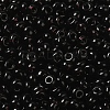 Transparent Colours Glass Seed Beads SEED-P006-02A-14-3