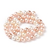 Shell Pearl Bead Strands BSHE-L017-11-2