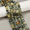 Natural Prehnite Beads Strands X-G-P322-48-10mm-01-6
