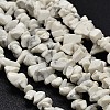Chip Natural Howlite Beads Strands X-G-N0134-11-1