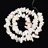 Natural Trochid Shell/Trochus Shell Beads Strands SSHEL-T017-29-2
