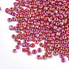 Opaque Glass Seed Beads SEED-S023-01C-05-2