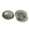 Natural Labradorite Cabochons G-C115-02A-26-2