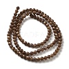 Natural Freshwater Shell Beads Strands SHEL-H003-03D-2