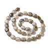 Natural Labradorite Beads Strands G-C238-37-3