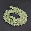 Natural Prehnite Chip Beads Strands G-E271-99-2