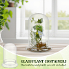Glass Dome Cover DJEW-WH0099-06C-5