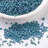 MIYUKI Delica Beads SEED-X0054-DB0798-1