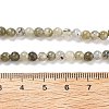 Natural Labradorite Bead Strands G-O155-05B-4mm-7