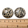 Natural Dalmatian Jasper Cabochons G-C115-02B-21-3