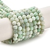 Natural Green Opal Beads Strands G-Z035-A02-03C-1