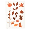 Waterproof Plastic Self Adhesive Stickers DIY-F064-13B-1